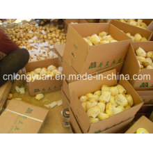 Shandong Origin Fresh Potato New Season